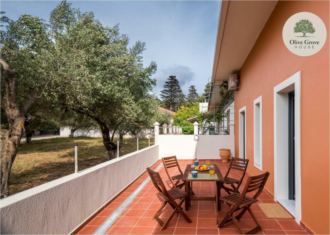 Villa Olive Grove House à Argostóli Extérieur photo